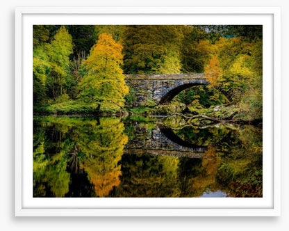 Reflecting on fall