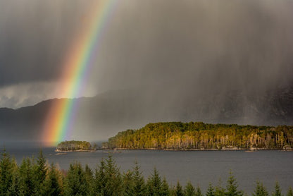 Rainbows