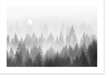 Shadow forest
