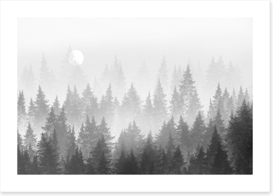 Shadow forest