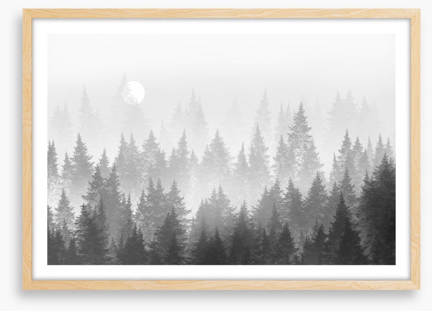 Shadow forest