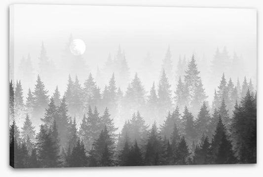 Shadow forest