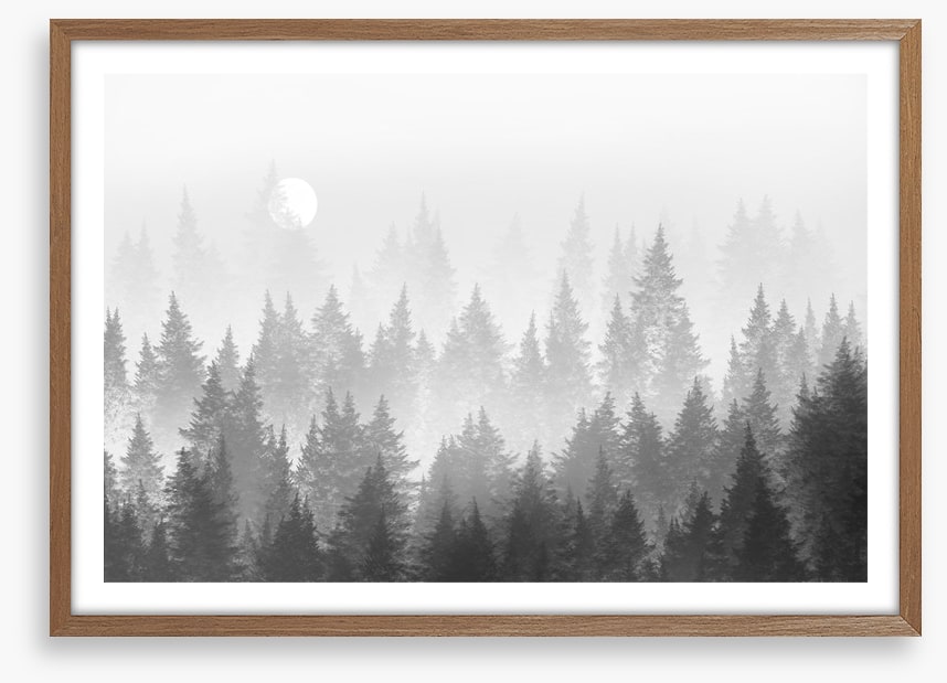 Shadow forest