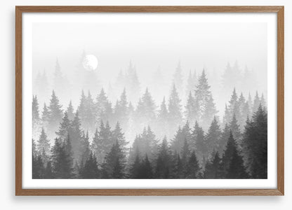 Shadow forest