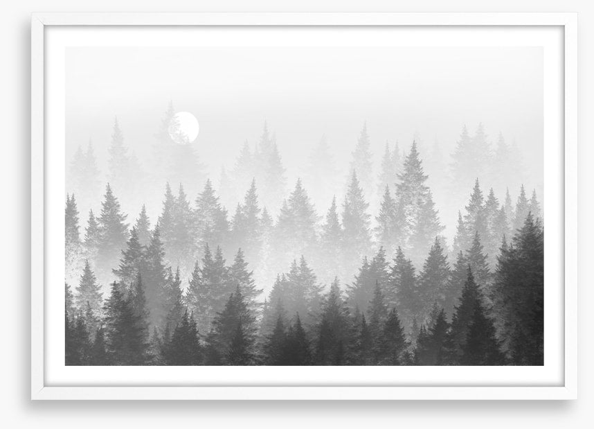 Shadow forest