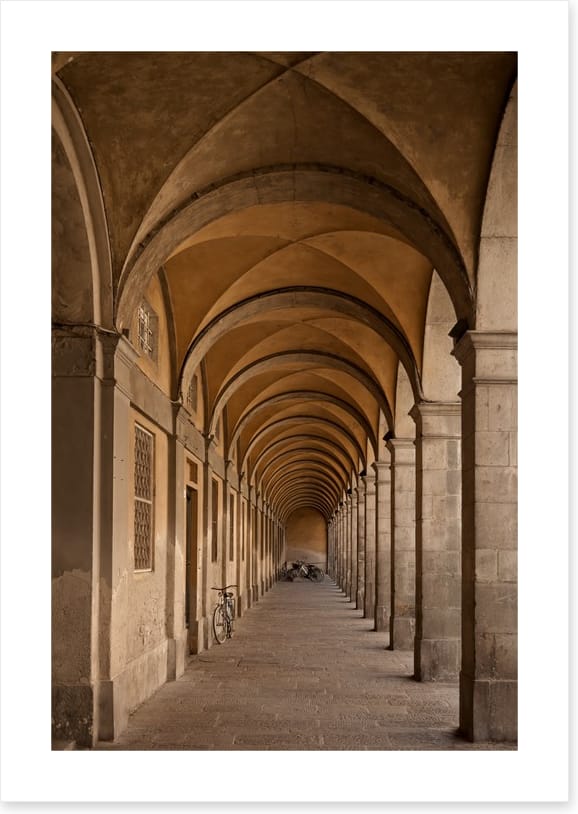 Colonnade of curves
