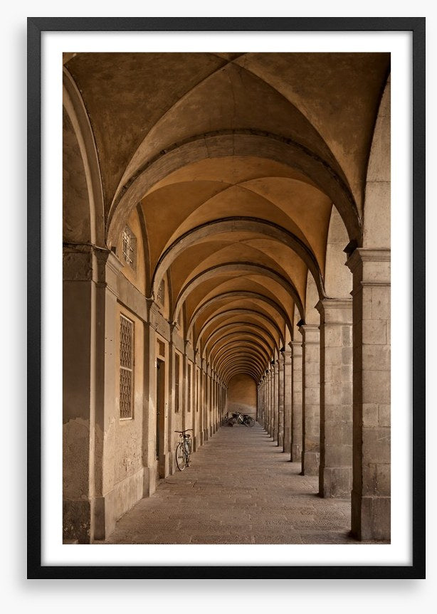 Colonnade of curves