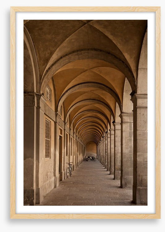 Colonnade of curves