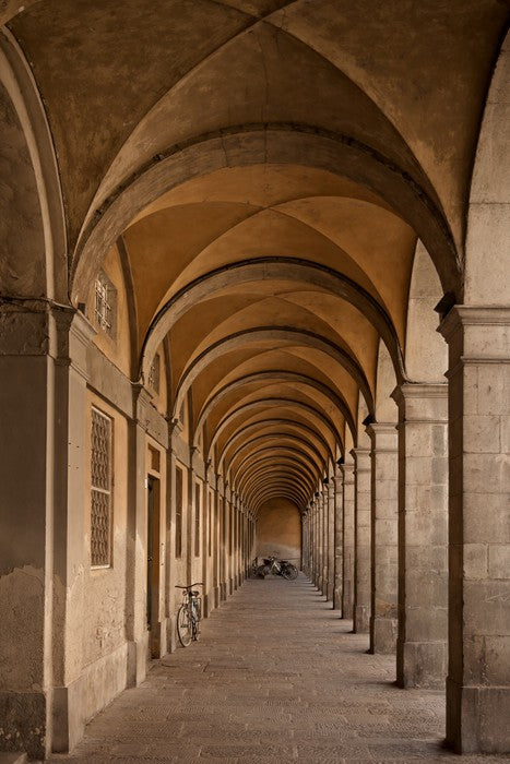 Colonnade of curves