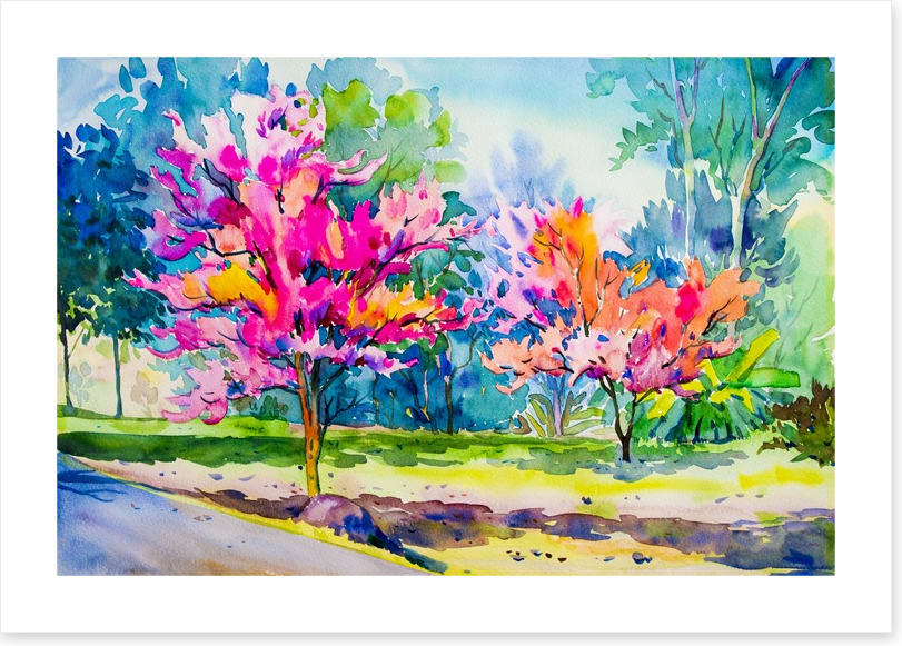 The cherry blossom lane