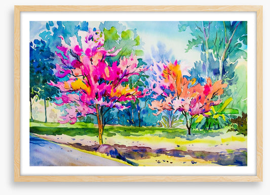 The cherry blossom lane