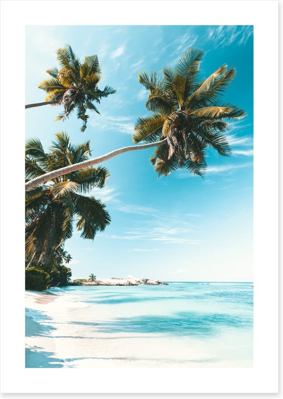 Breezy bay