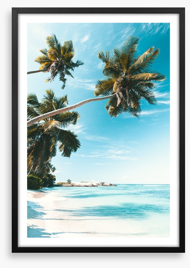 Breezy bay