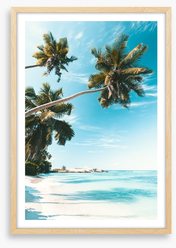 Breezy bay