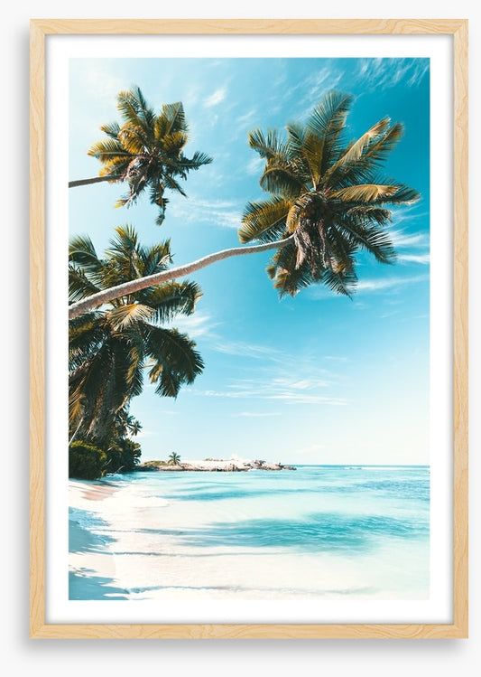 Breezy bay