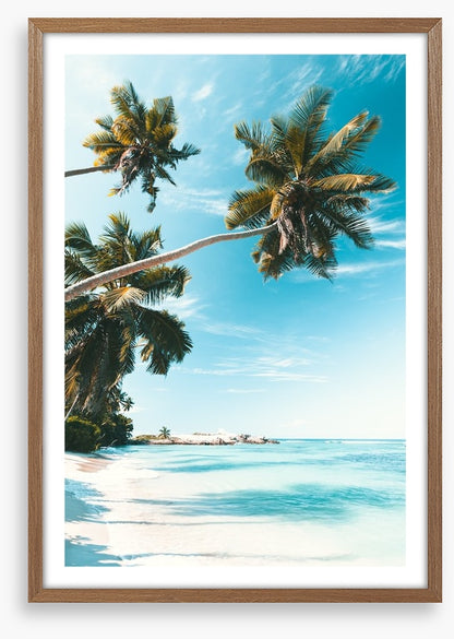 Breezy bay