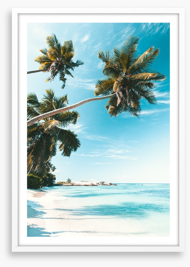 Breezy bay