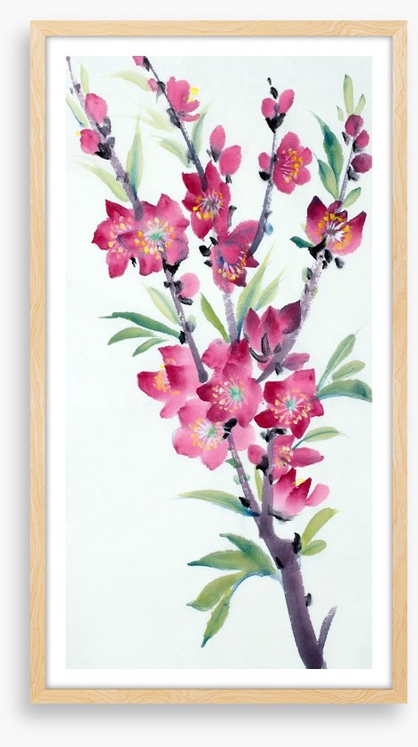 Pink peach blossom