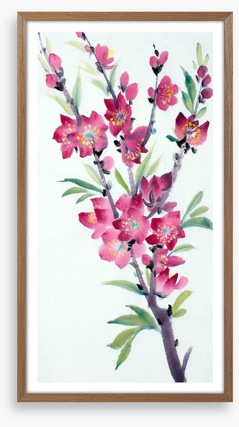 Pink peach blossom