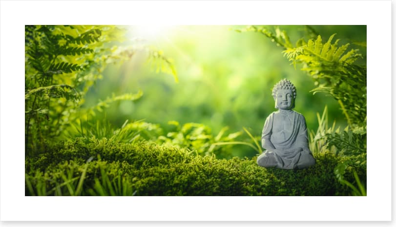 Meditation in the moss
