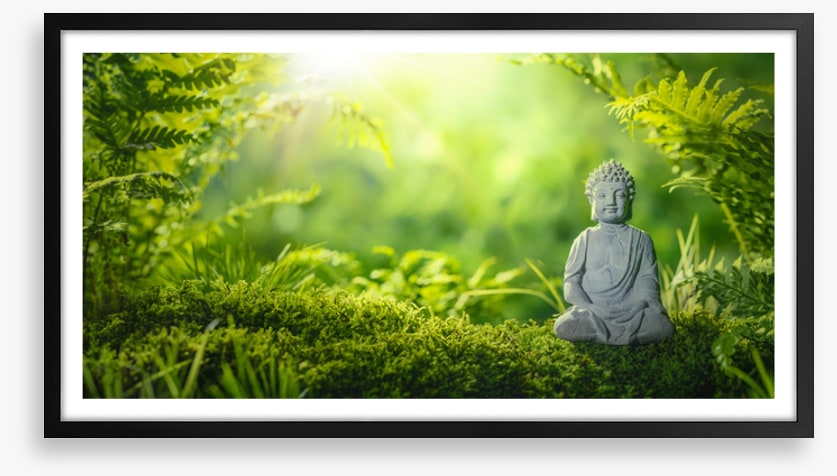 Meditation in the moss