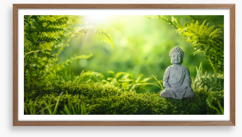 Meditation in the moss