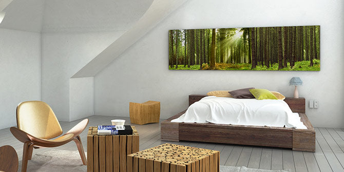 Sunlight forest panorama