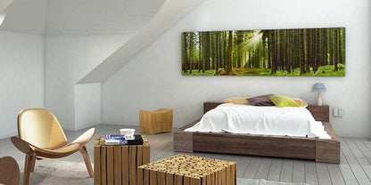Sunlight forest panorama