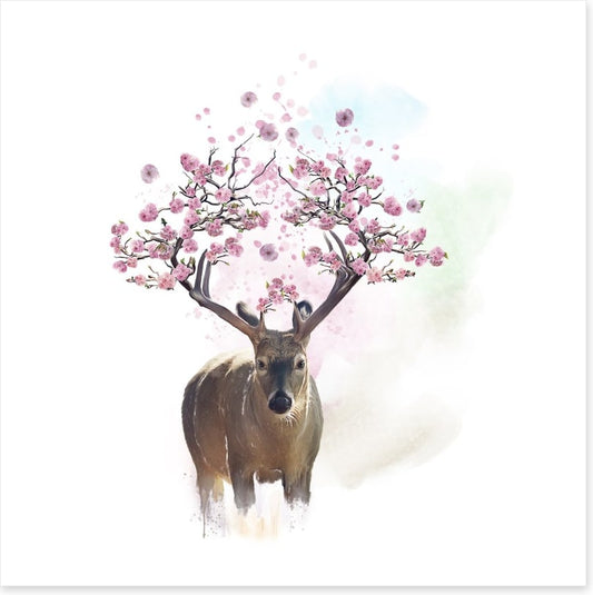 Spring deer