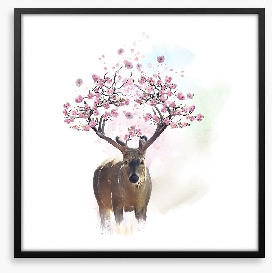 Spring deer