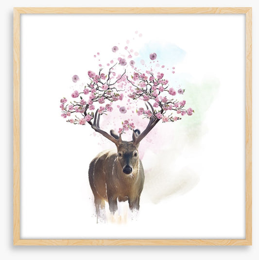 Spring deer
