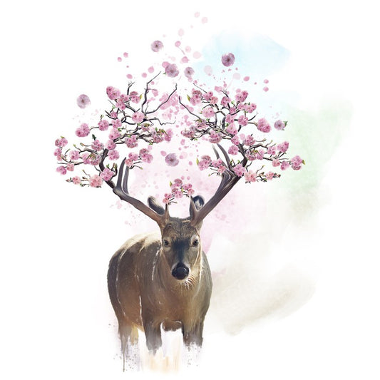 Spring deer