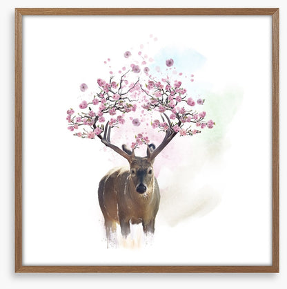 Spring deer