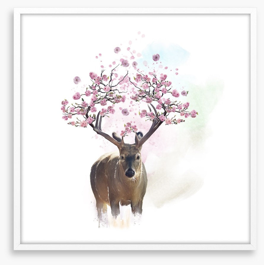 Spring deer