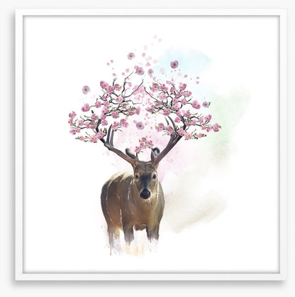 Spring deer