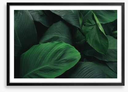 Leafy greens