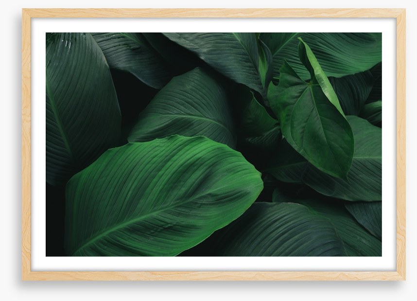 Leafy greens