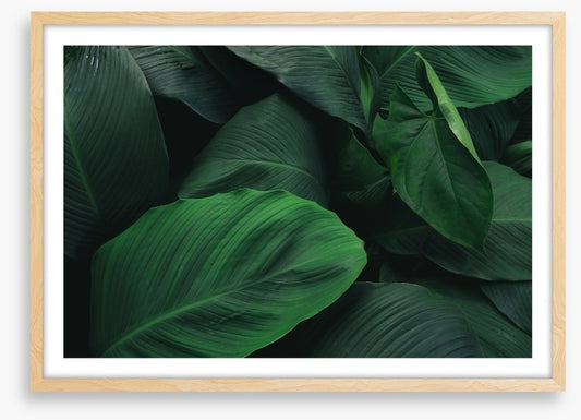 Leafy greens