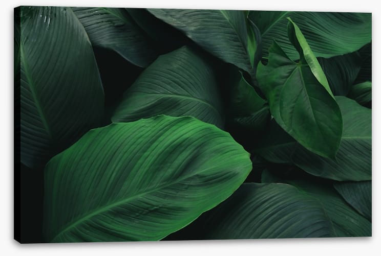 Leafy greens