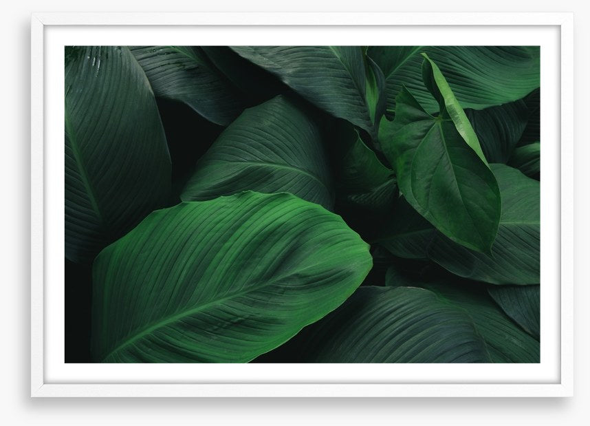 Leafy greens