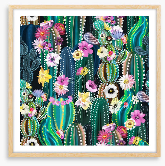 Blooming cactus