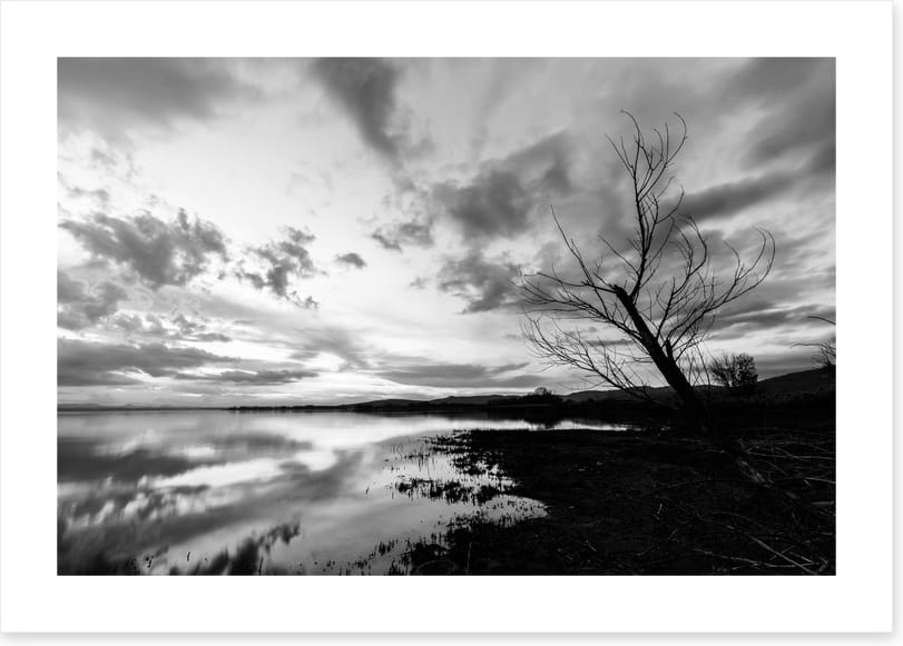 Drawn towards dawn