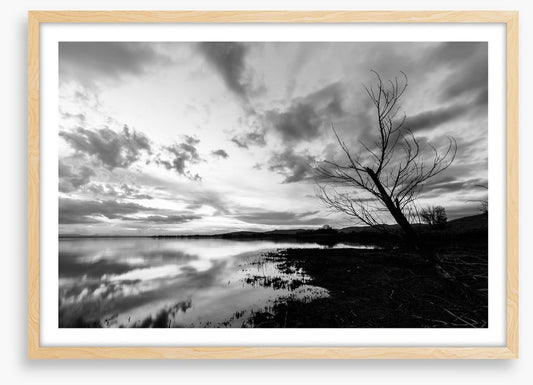 Drawn towards dawn