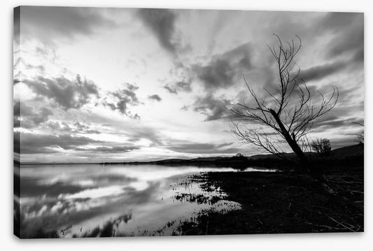 Drawn towards dawn