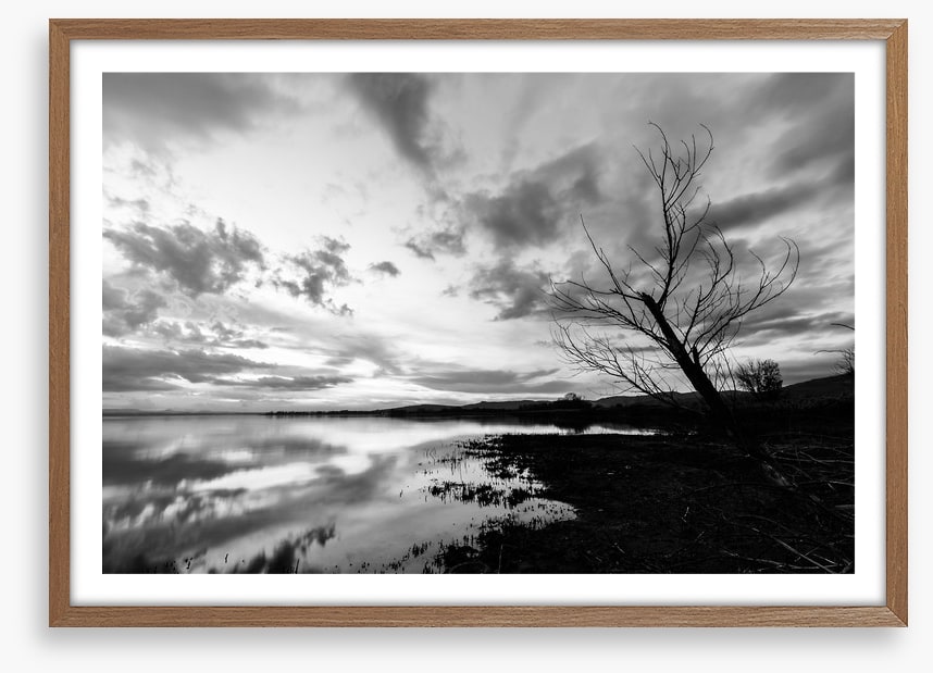 Drawn towards dawn