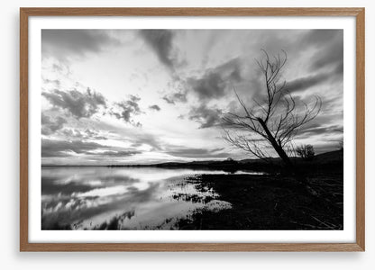 Drawn towards dawn