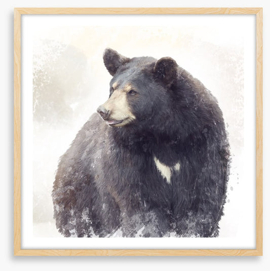 The black bear