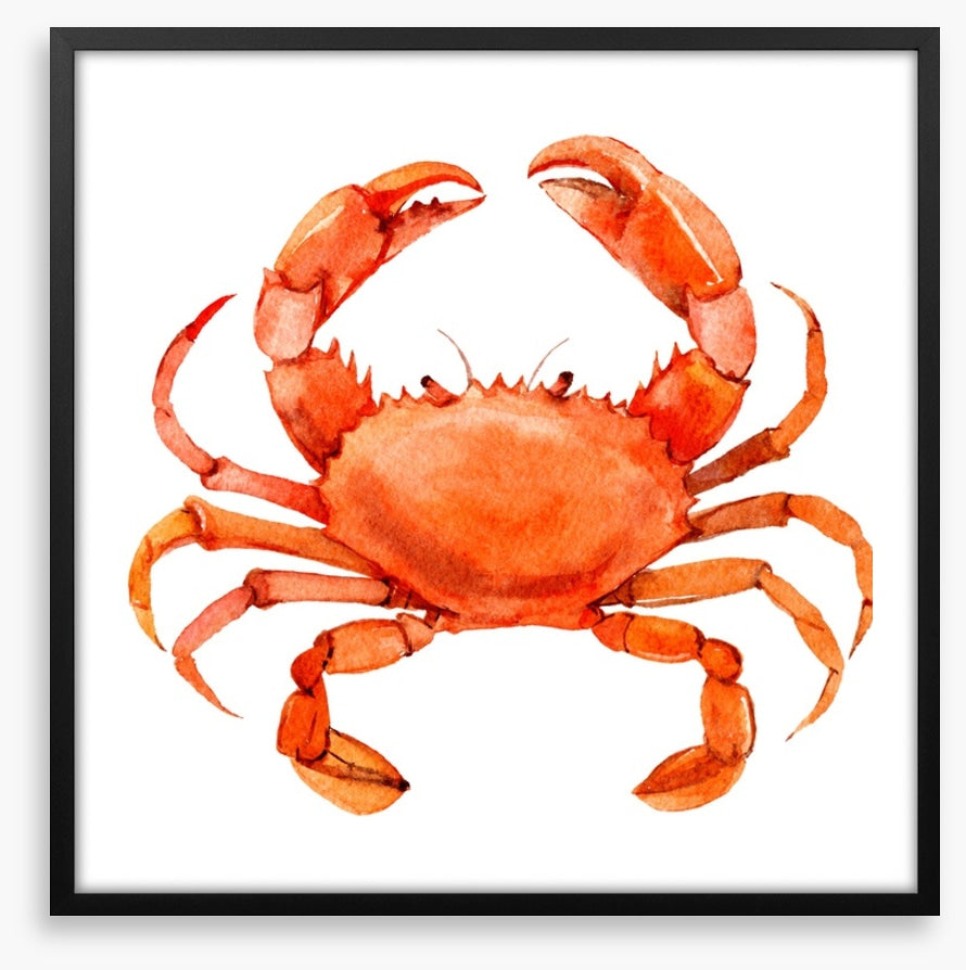 Cornish crab