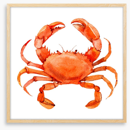 Cornish crab