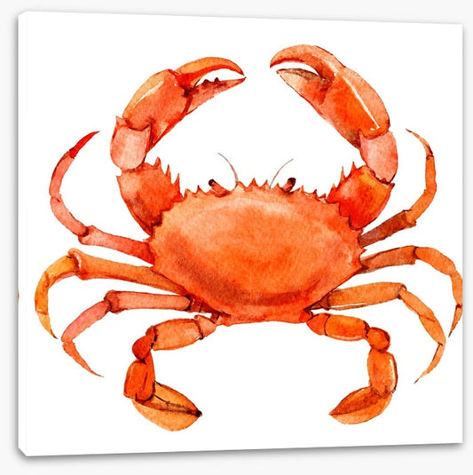 Cornish crab